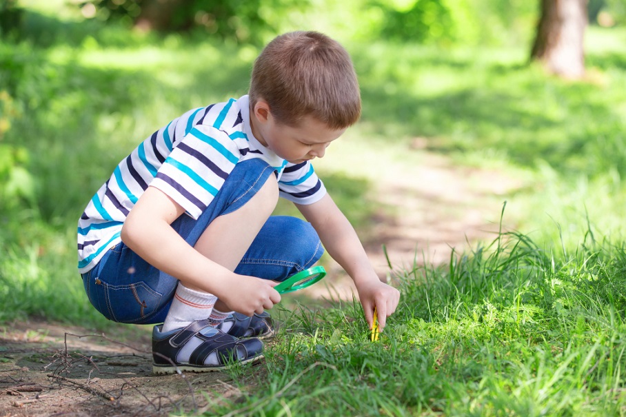 harnessing-exploration-for-behavioral-growth